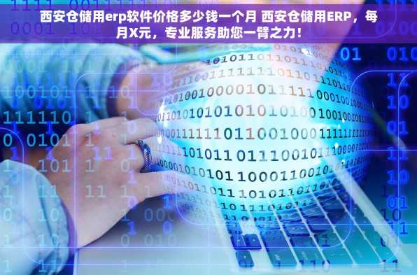 西安仓储用erp软件价格多少钱一个月 西安仓储用ERP，每月X元，专业服务助您一臂之力！