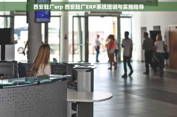 西安鞋厂erp 西安鞋厂ERP系统培训与实施指导