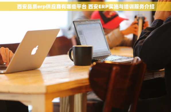 西安品质erp供应商有哪些平台 西安ERP实施与培训服务介绍