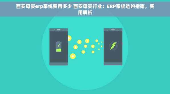 西安母婴erp系统费用多少 西安母婴行业：ERP系统选购指南，费用解析