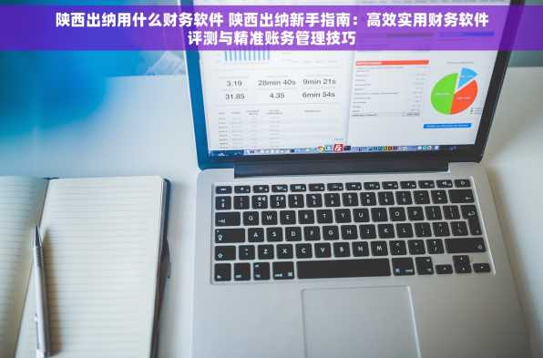 陕西出纳用什么财务软件 陕西出纳新手指南：高效实用财务软件评测与精准账务管理技巧