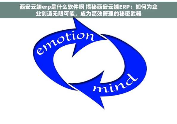 西安云端erp是什么软件啊 揭秘西安云端ERP：如何为企业创造无限可能，成为高效管理的秘密武器