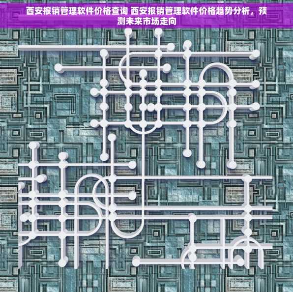 西安报销管理软件价格查询 西安报销管理软件价格趋势分析，预测未来市场走向