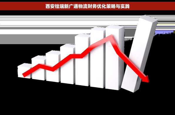 西安铨瑞新广通物流财务优化策略与实践