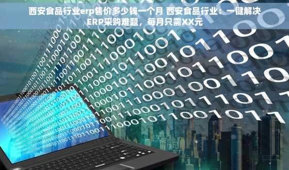 西安食品行业erp售价多少钱一个月 西安食品行业：一键解决ERP采购难题，每月只需XX元