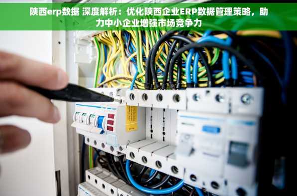 陕西erp数据 深度解析：优化陕西企业ERP数据管理策略，助力中小企业增强市场竞争力