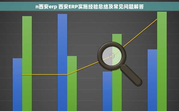 n西安erp 西安ERP实施经验总结及常见问题解答