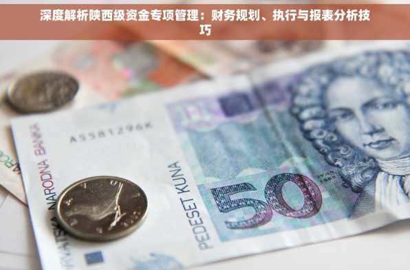 深度解析陕西级资金专项管理：财务规划、执行与报表分析技巧