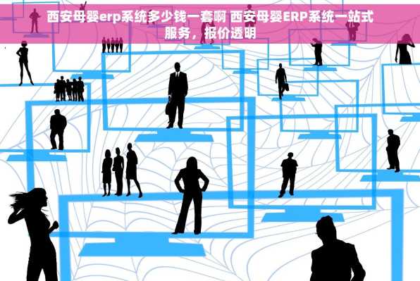 西安母婴erp系统多少钱一套啊 西安母婴ERP系统一站式服务，报价透明
