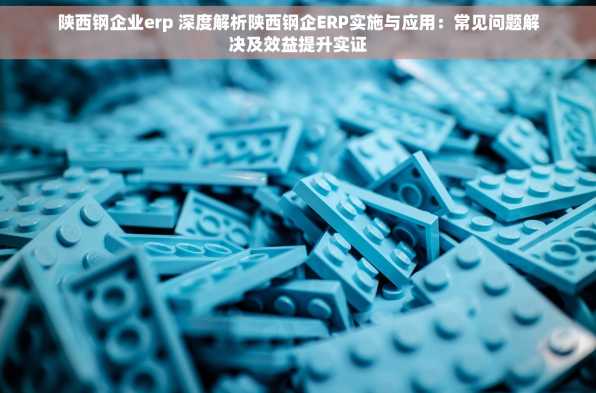 陕西钢企业erp 深度解析陕西钢企ERP实施与应用：常见问题解决及效益提升实证