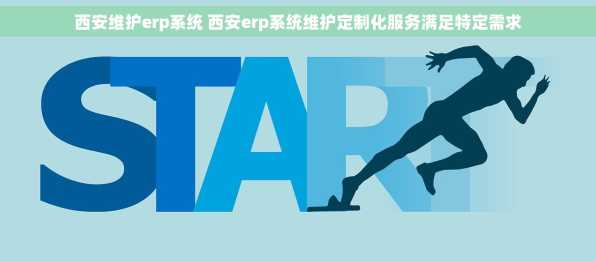 西安维护erp系统 西安erp系统维护定制化服务满足特定需求