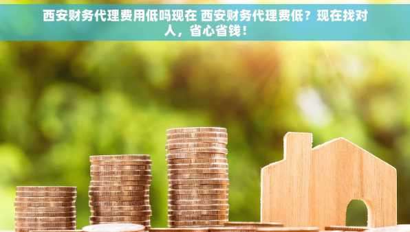 西安财务代理费用低吗现在 西安财务代理费低？现在找对人，省心省钱！