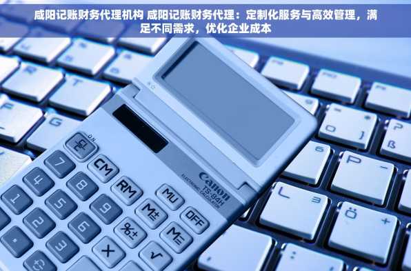 咸阳记账财务代理机构 咸阳记账财务代理：定制化服务与高效管理，满足不同需求，优化企业成本