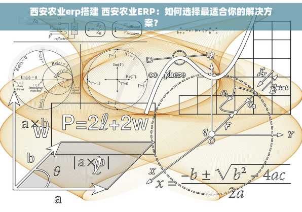 西安农业erp搭建 西安农业ERP：如何选择最适合你的解决方案？