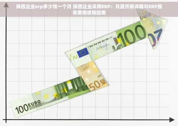 陕西企业erp多少钱一个月 陕西企业采用ERP：月度开销详解与ERP服务费用透明指南