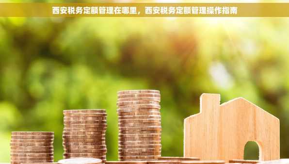 西安税务定额管理在哪里，西安税务定额管理操作指南