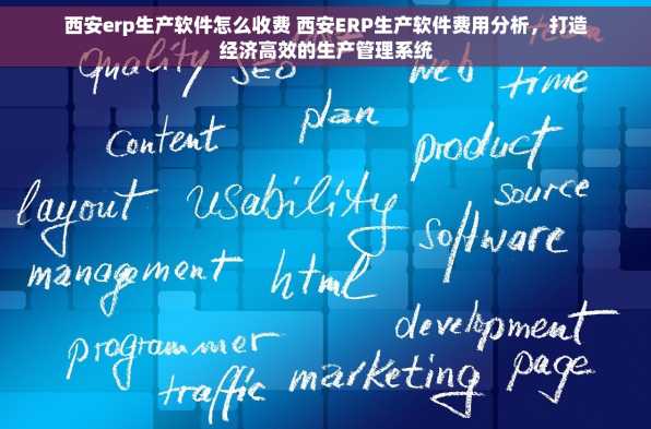 西安erp生产软件怎么收费 西安ERP生产软件费用分析，打造经济高效的生产管理系统