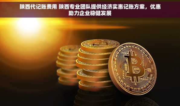 陕西代记账费用 陕西专业团队提供经济实惠记账方案，优惠助力企业稳健发展
