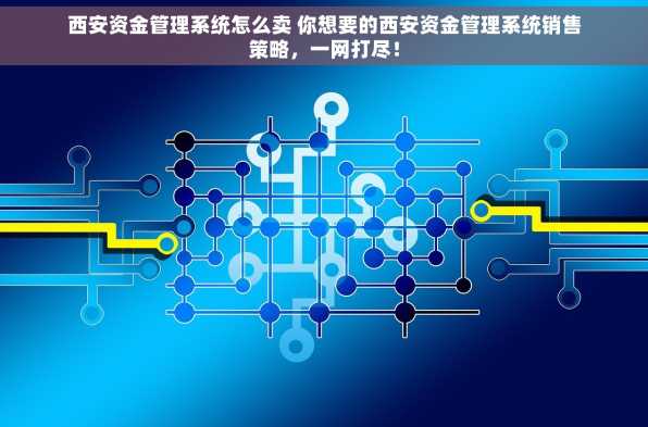 西安资金管理系统怎么卖 你想要的西安资金管理系统销售策略，一网打尽！