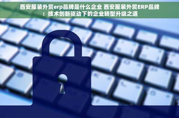 西安服装外贸erp品牌是什么企业 西安服装外贸ERP品牌：技术创新驱动下的企业转型升级之道