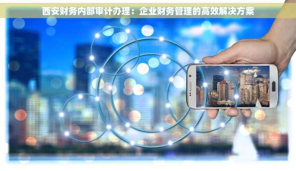 西安财务内部审计办理：企业财务管理的高效解决方案