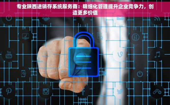专业陕西进销存系统服务商：精细化管理提升企业竞争力，创造更多价值