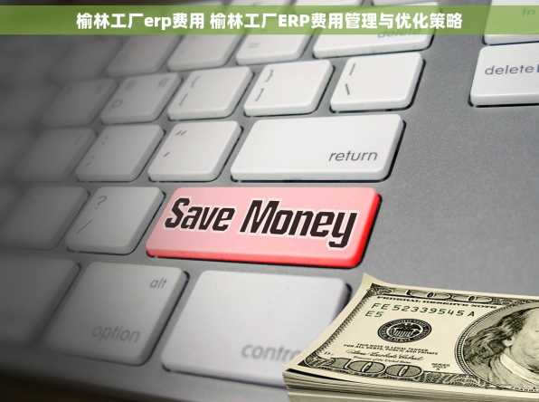 榆林工厂erp费用 榆林工厂ERP费用管理与优化策略