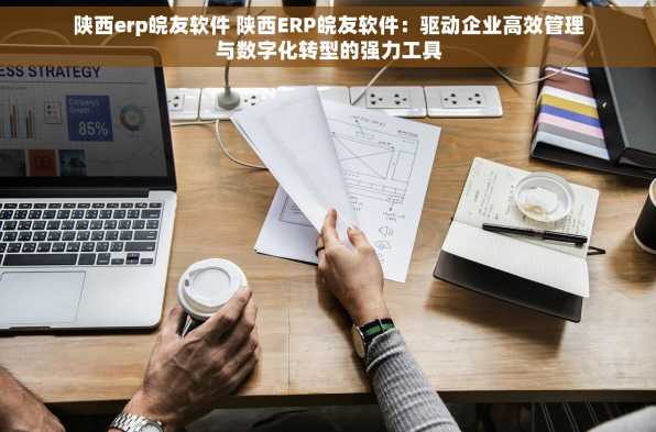 陕西erp皖友软件 陕西ERP皖友软件：驱动企业高效管理与数字化转型的强力工具