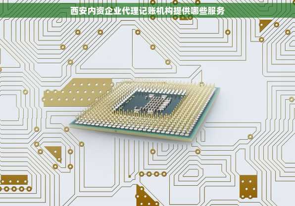 西安内资企业代理记账机构提供哪些服务