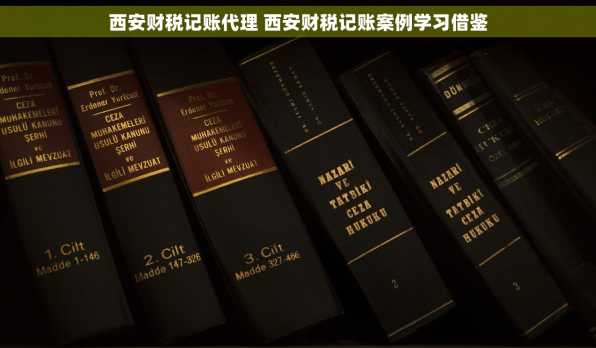 西安财税记账代理 西安财税记账案例学习借鉴