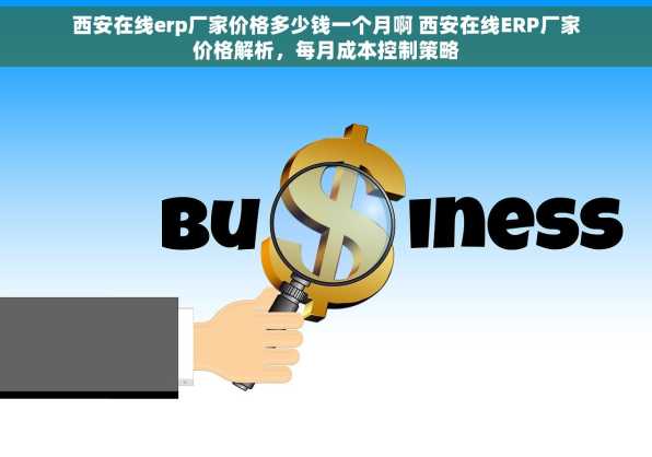 西安在线erp厂家价格多少钱一个月啊 西安在线ERP厂家价格解析，每月成本控制策略