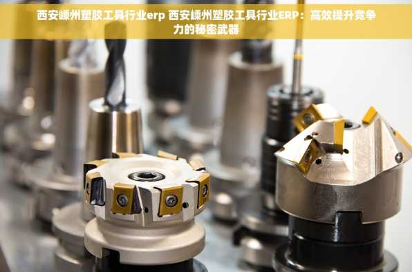 西安嵊州塑胶工具行业erp 西安嵊州塑胶工具行业ERP：高效提升竞争力的秘密武器