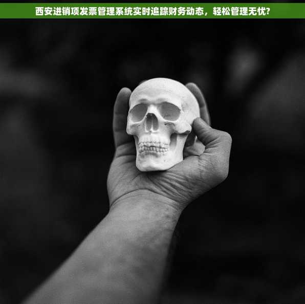 西安进销项发票管理系统实时追踪财务动态，轻松管理无忧?