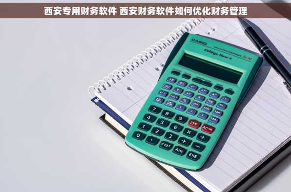 西安专用财务软件 西安财务软件如何优化财务管理