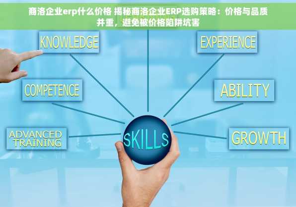 商洛企业erp什么价格 揭秘商洛企业ERP选购策略：价格与品质并重，避免被价格陷阱坑害