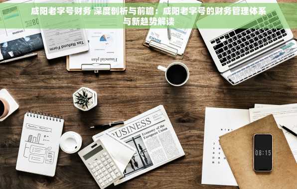 咸阳老字号财务 深度剖析与前瞻：咸阳老字号的财务管理体系与新趋势解读