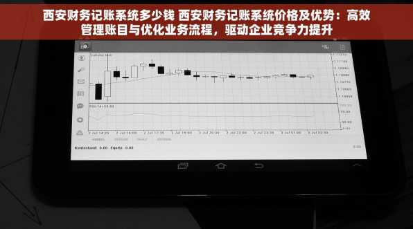 西安财务记账系统多少钱 西安财务记账系统价格及优势：高效管理账目与优化业务流程，驱动企业竞争力提升