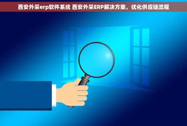 西安外采erp软件系统 西安外采ERP解决方案，优化供应链流程