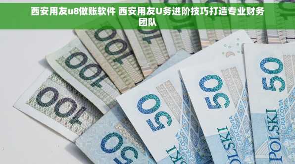 西安用友u8做账软件 西安用友U务进阶技巧打造专业财务团队