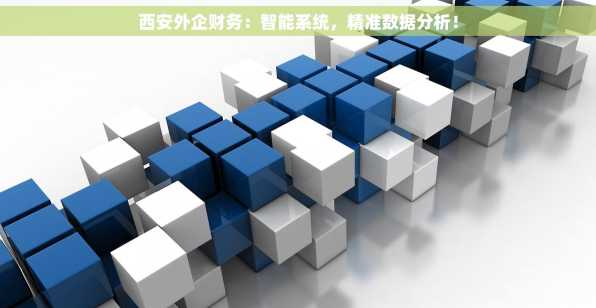西安外企财务：智能系统，精准数据分析！