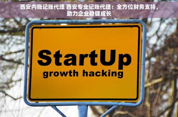 西安内账记账代理 西安专业记账代理：全方位财务支持，助力企业稳健成长