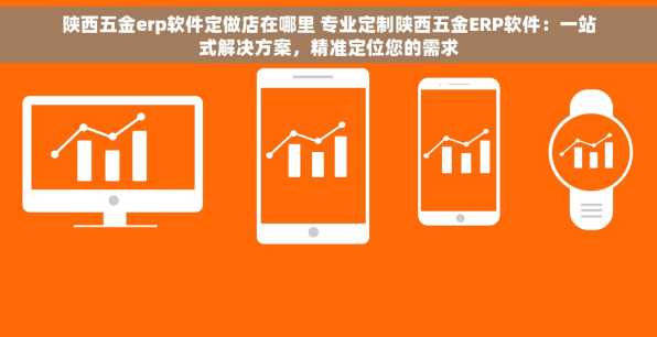 陕西五金erp软件定做店在哪里 专业定制陕西五金ERP软件：一站式解决方案，精准定位您的需求