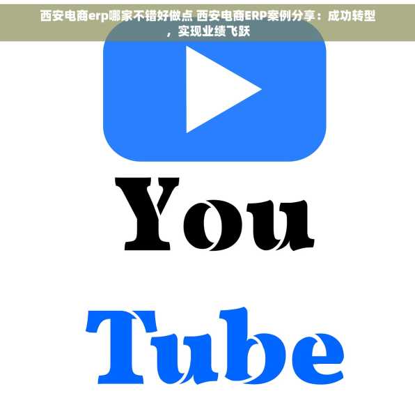 西安电商erp哪家不错好做点 西安电商ERP案例分享：成功转型，实现业绩飞跃