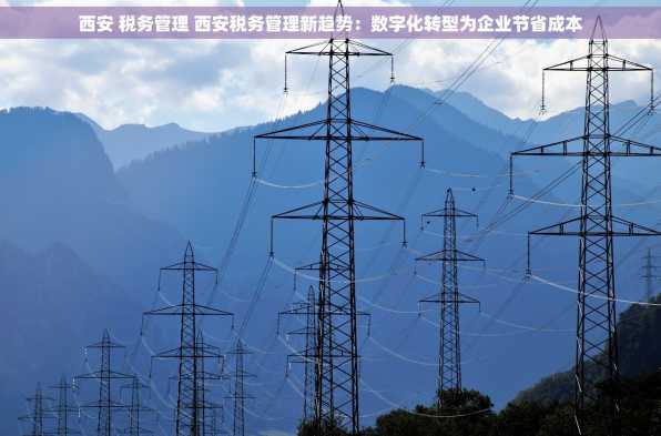 西安 税务管理 西安税务管理新趋势：数字化转型为企业节省成本