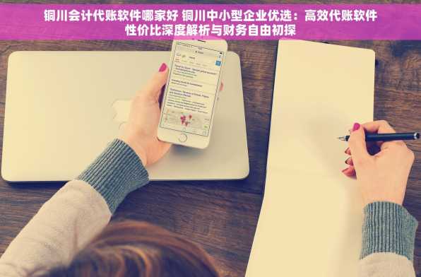 铜川会计代账软件哪家好 铜川中小型企业优选：高效代账软件性价比深度解析与财务自由初探