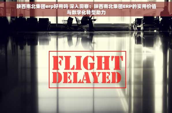 陕西南北集团erp好用吗 深入洞察：陕西南北集团ERP的实用价值与数字化转型助力