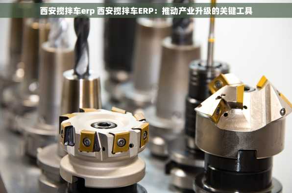 西安搅拌车erp 西安搅拌车ERP：推动产业升级的关键工具