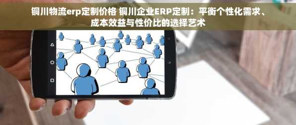 铜川物流erp定制价格 铜川企业ERP定制：平衡个性化需求、成本效益与性价比的选择艺术