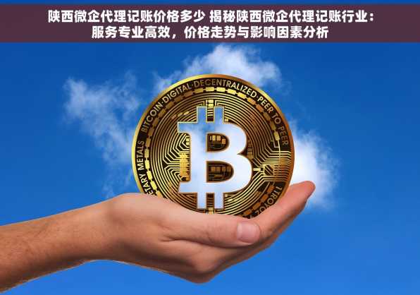 陕西微企代理记账价格多少 揭秘陕西微企代理记账行业：服务专业高效，价格走势与影响因素分析