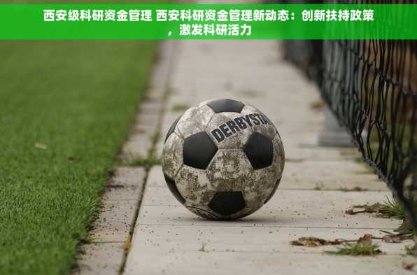 西安级科研资金管理 西安科研资金管理新动态：创新扶持政策，激发科研活力